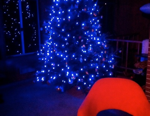 December 2015 HOM - 2715 Rosedale - Christmas Tree